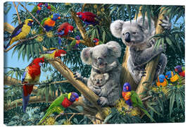 Canvas print  Koala Outback - Steve Read
