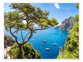 Poster A beautiful summer on Capri