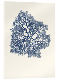 Acrylic print  Navy coral 3 - Patruschka