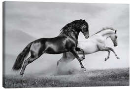 Canvas print  Horses black and white