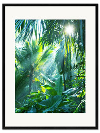 Framed art print  Jungle fever