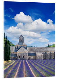 Acrylic print  Sénanque abbey with lavender field, Provence, France