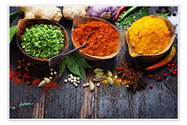 Poster Colorful spices diversity