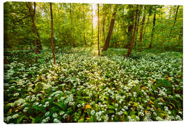 Canvas print  Spring forest - Dave Derbis
