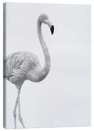 Canvas print  Black and white flamingo - Finlay and Noa