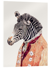 Acrylic print  Zebra - Animal Crew