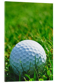 Acrylic print  Golf ball in the grass