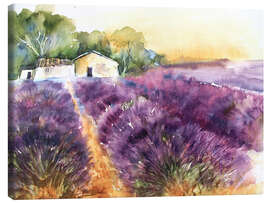 Canvas print  Lavender field in Provence - Eckard Funck
