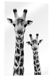 Acrylic print  Giraffe and Baby - Philippe HUGONNARD