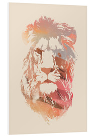 Foam board print  Desert lion - Robert Farkas