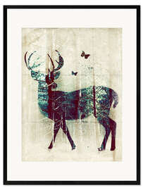 Framed art print  Deer in the Wild - Sybille Sterk