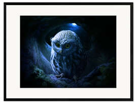 Framed art print  Little owl - Elena Dudina