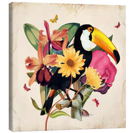 Canvas print  Oh My Parrot XII - Mandy Reinmuth