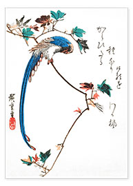 Poster Blue Magpie on Maple Branch