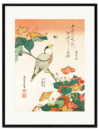 Framed art print  Mirabilis jalapa and grosbeak - Katsushika Hokusai