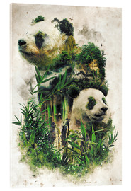 Acrylic print  The Giant Panda - Barrett Biggers