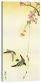 Canvas print  Starlings and Cherry Tree - Ohara Koson
