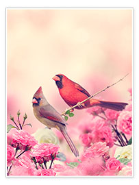 Poster Red cardinal in sea of flowers
