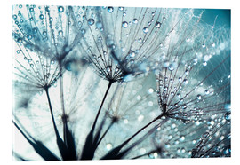 Acrylic print  Dandelion blue art - Julia Delgado