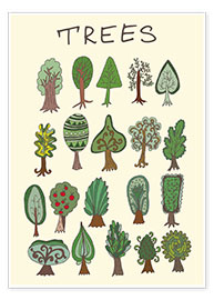 Poster Our tree species