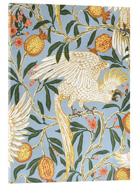 Acrylic print  Cockatoo and Pomegranate - Walter Crane