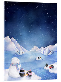 Acrylic print  Stars of the Antarctic - Rebecca Richards
