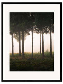 Framed art print  Foggy morning - articstudios
